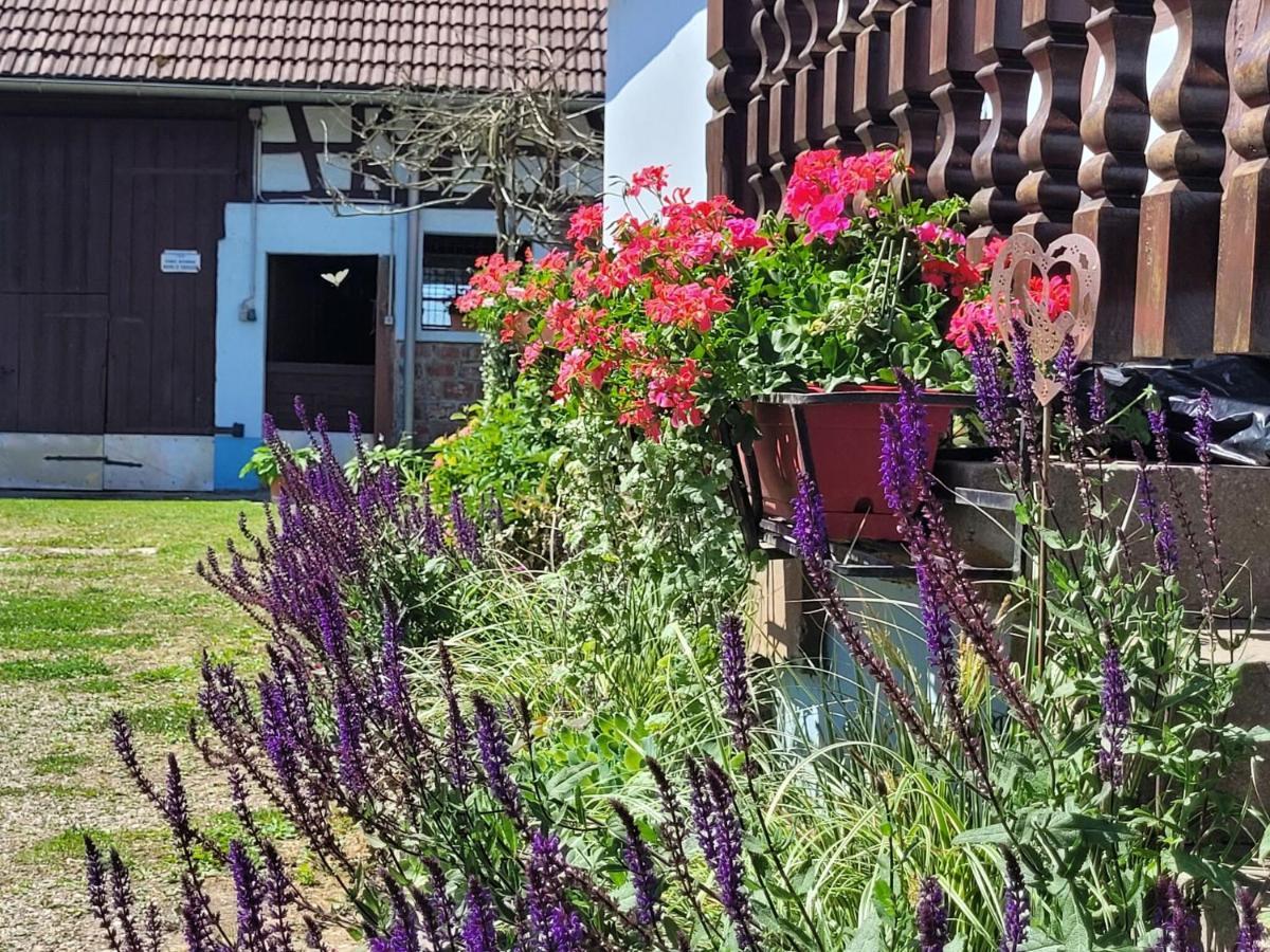 Cosy Holiday Home In Schleithal With Garden ภายนอก รูปภาพ