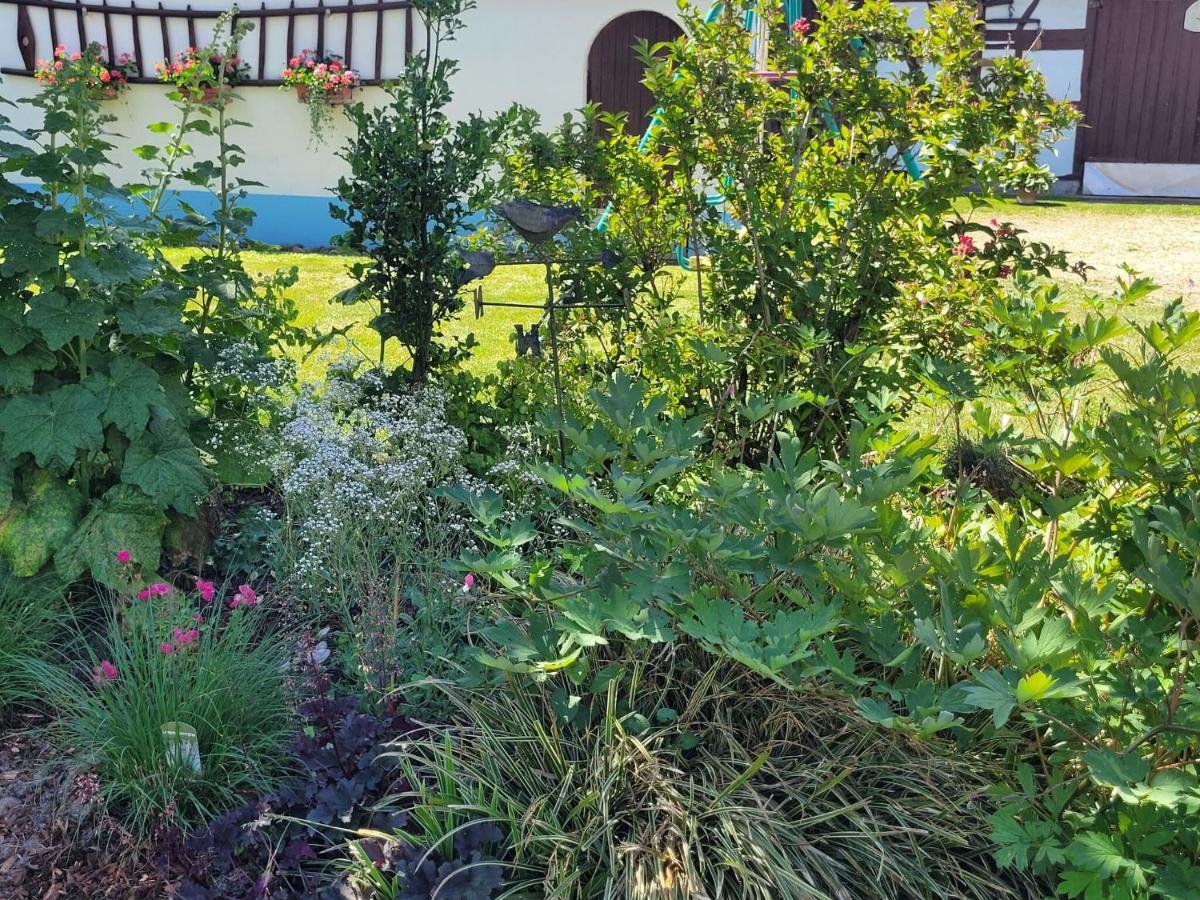 Cosy Holiday Home In Schleithal With Garden ภายนอก รูปภาพ